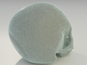 Human Skull 3D 模型