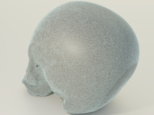 Human Skull 3D 模型
