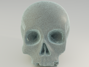Human Skull 3D 模型