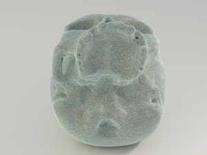 Human Skull 3D 模型