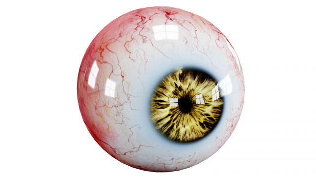 Eyes pack Low-poly 3D 모델 .c4d .max .obj .3ds .fbx .stl .blend 