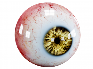 Eyes pack Low-poly 3D Model
