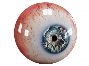 Eyes pack Low-poly 3D 모델
