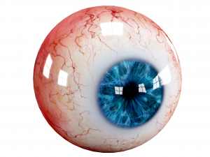 Eyes pack Low-poly 3D 모델