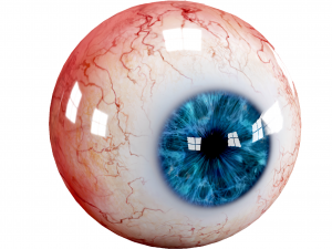 Eyes pack Low-poly 3D 모델