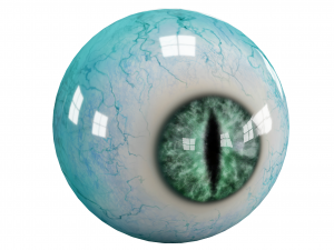 Eyes pack Low-poly 3D 모델