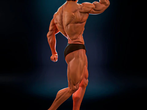 Arnold Schwarzenegger 3D Print Model