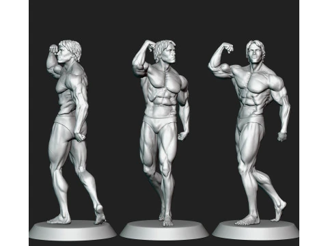 Arnold Schwarzenegger 3D Print Model