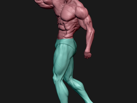Arnold Schwarzenegger Model Cetak 3D