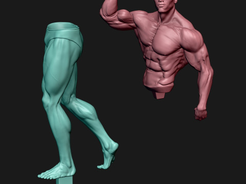 Arnold Schwarzenegger Model Cetak 3D