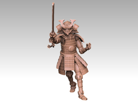 Robo Samurai Modello di stampa 3D