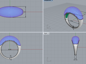 Ring with many stones 3D Print Model