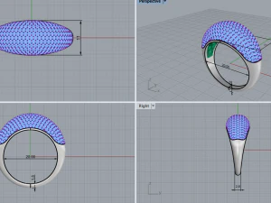 Ring with many stones 3D Print Model