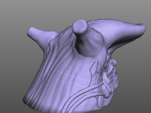 Human Four Senses Model 3D