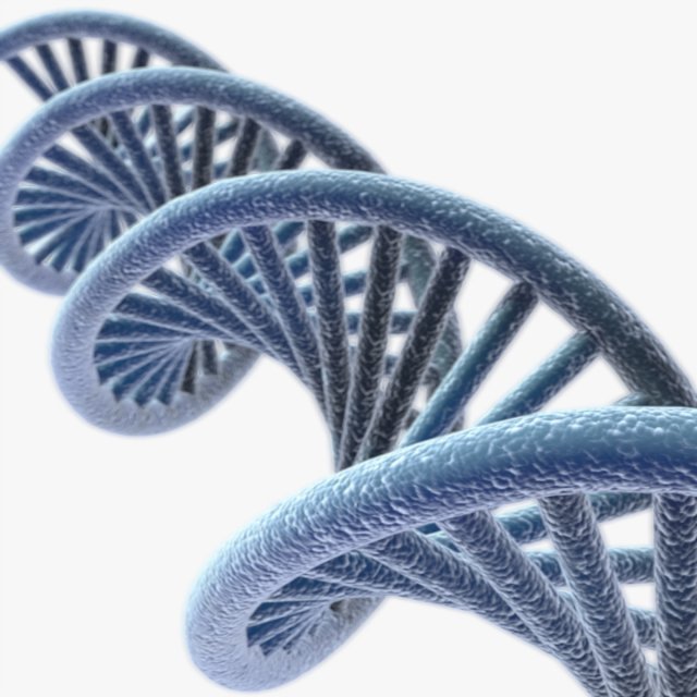 DNA Model 3D .c4d .max .obj .3ds .fbx .stl .blend 