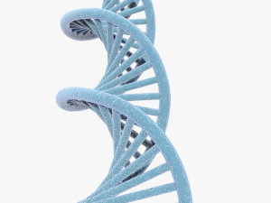 DNA Model 3D