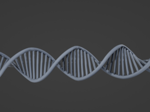 DNA Model 3D