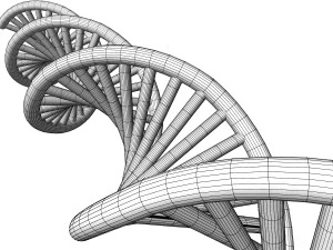 DNA 3D Model