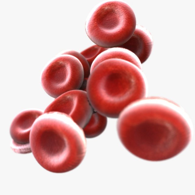 Blood Cells 3D 모델 .c4d .max .obj .3ds .fbx .stl .blend 
