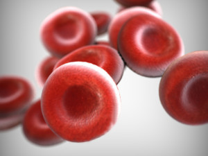 Blood Cells 3D 모델