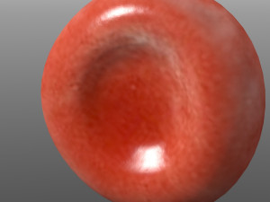 Blood Cells 3D 모델