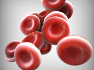 Blood Cells 3D 모델