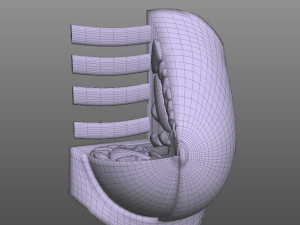 Breast Anatomy 3Dモデル