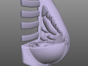 Breast Anatomy 3Dモデル