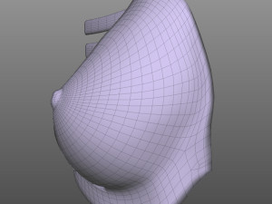Breast Anatomy 3Dモデル