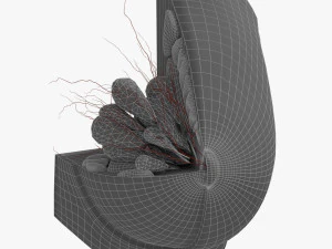 Breast in Detail 3D Model