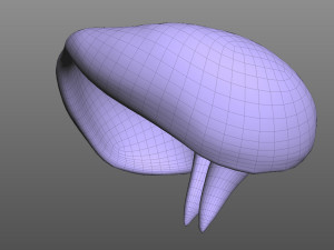 Human Diaphragm Model 3D