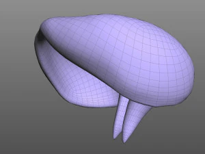 Human Diaphragm 3D Model