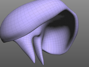 Human Diaphragm Model 3D