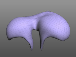 Human Diaphragm Model 3D