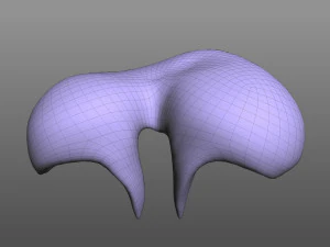Human Diaphragm 3D Model