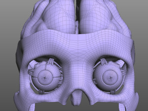 Eye and Brain Modelo 3D