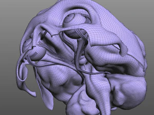 Oog en hersenen 3D Model