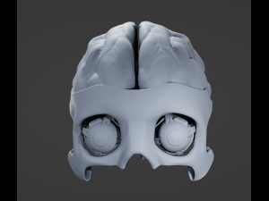Eye and Brain Modelo 3D