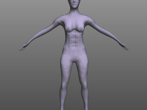 Female Muscular System Modelo 3D