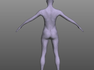 Female Muscular System Modelo 3D