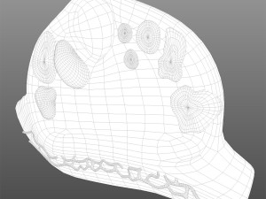 Female Ovary 3D Model