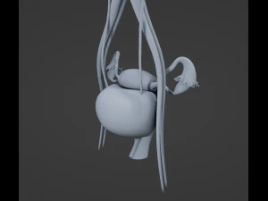 Female Urinary System 3D Model