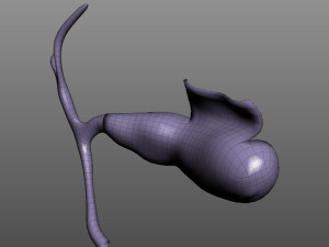 Gallbladder Anatomy Model 3D