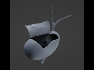 Gallbladder Anatomy Model 3D