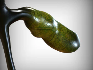 Ves&iacute;cula biliar Modelo 3D