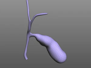 Ves&iacute;cula biliar Modelo 3D