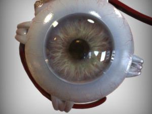 Eye Amber 3D Model