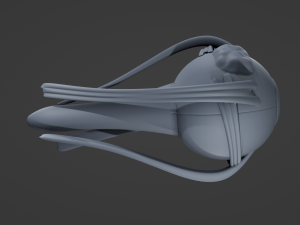 Eye Amber 3D Model