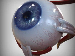 Eye Blue 3D Model