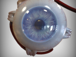 Eye Blue 3D 模型